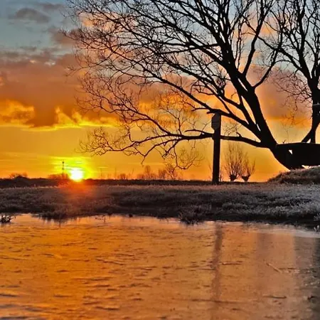 Prinsenhof # Zestien Apartman