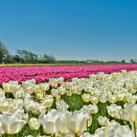 Apartman Prinsenhof # Zestien