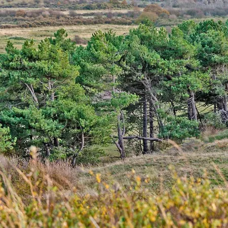 Prinsenhof # Zestien Apartman Bergen