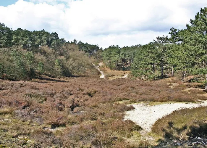 Appartement Prinsenhof # Zestien Bergen