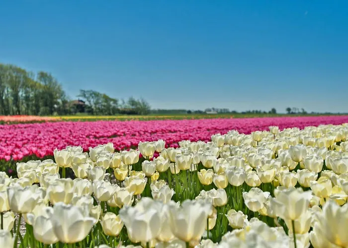 Appartement Prinsenhof # Zestien