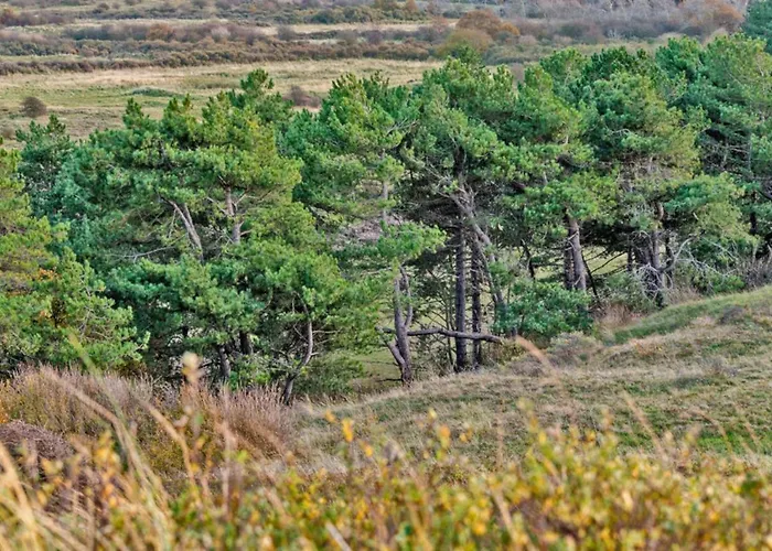 Prinsenhof # Zestien Appartement Bergen