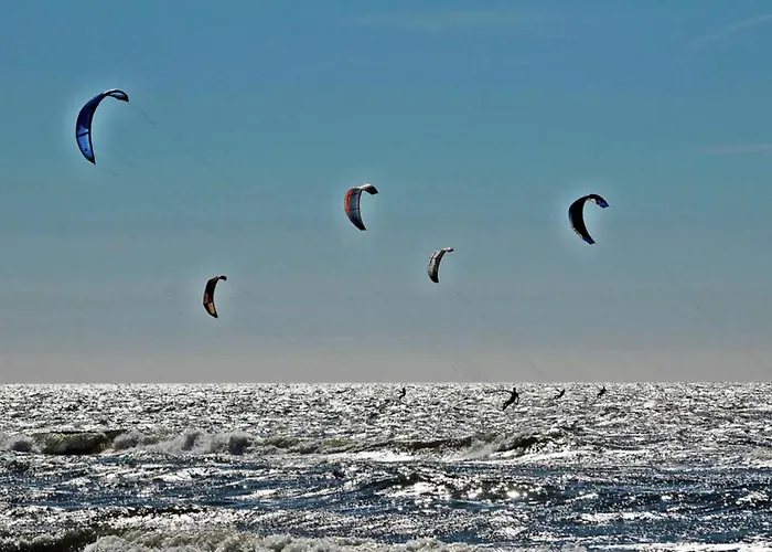 Prinsenhof # Zestien Appartement Bergen
