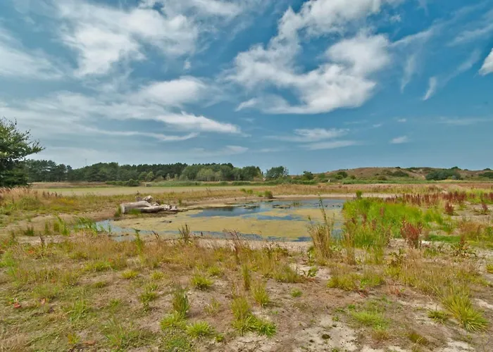 Prinsenhof # Zestien *