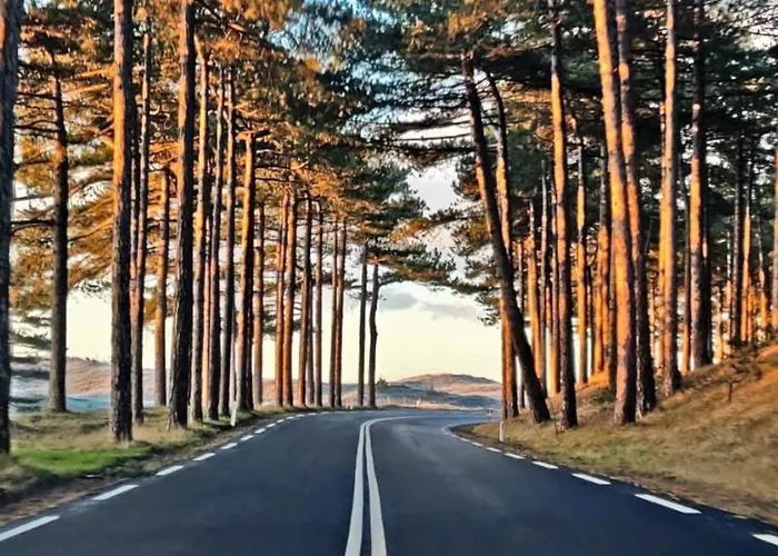 Appartement Prinsenhof # Zestien